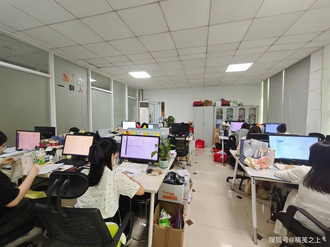 广州瑞森企业管理咨询:深耕本土财税服务,扎实护航中小微企业发展
